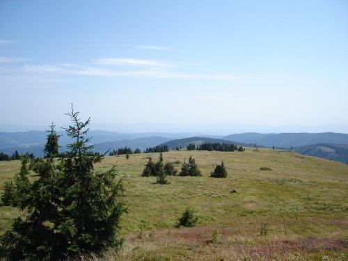 Obrázok
