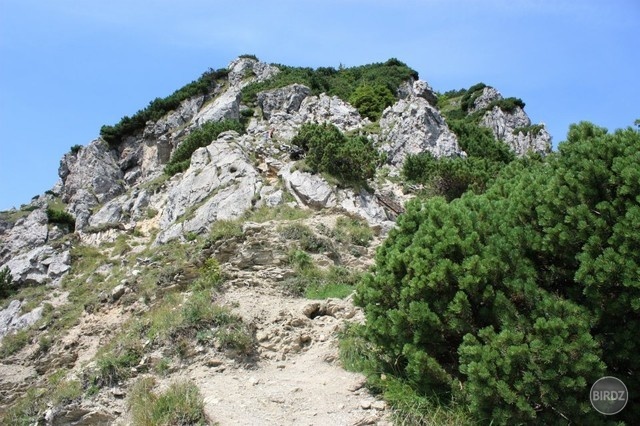 Obrázok