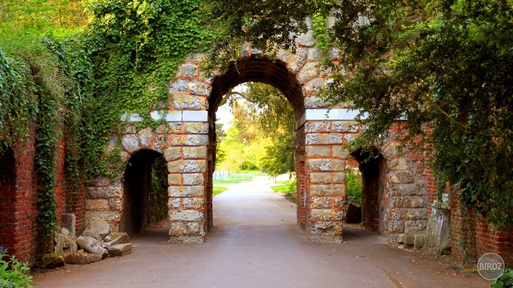 Obrázok