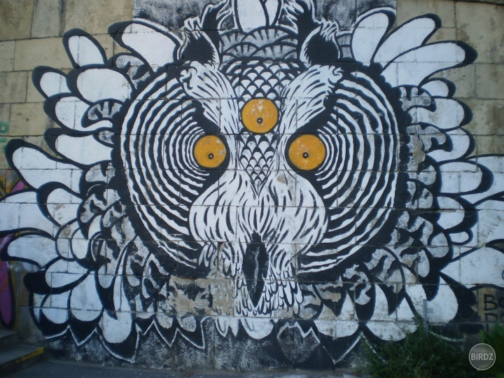 Obrázok
