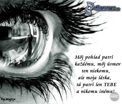 Obrázok