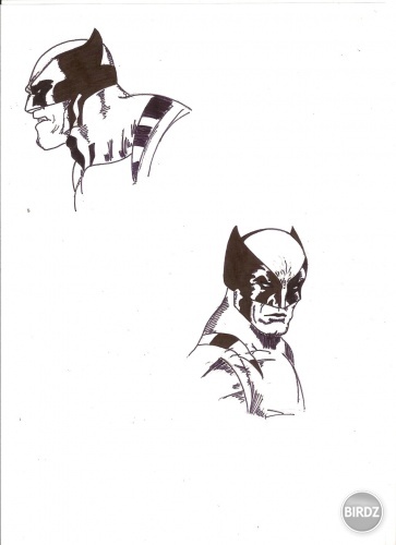 wolverine sketches