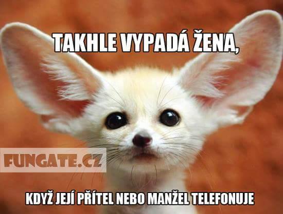 Obrázok