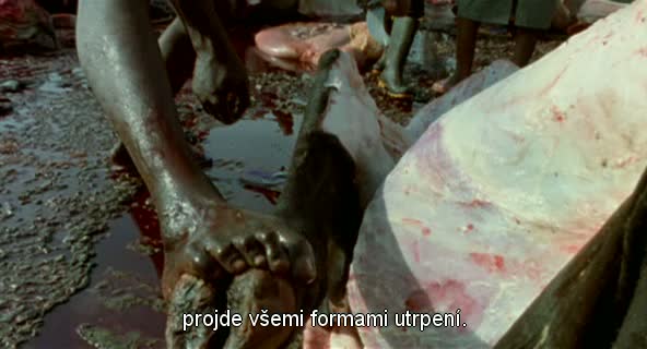 Workingman's Death (2005)