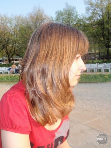 Obrázok