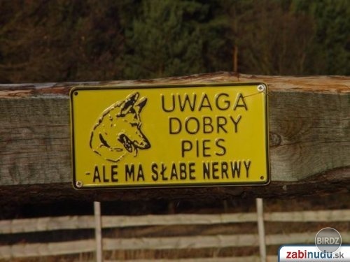 slabé nervy? 