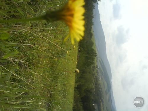 umenie :D