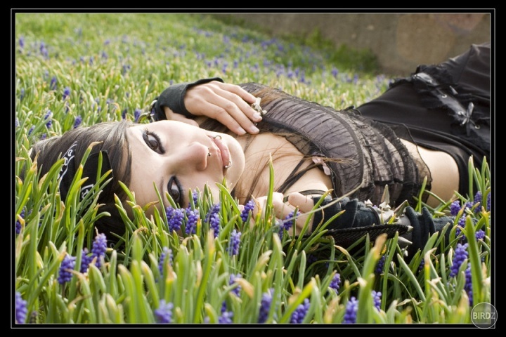 Beauty Rogue by =fetus0nthebeat, zo stránky DeviantArt