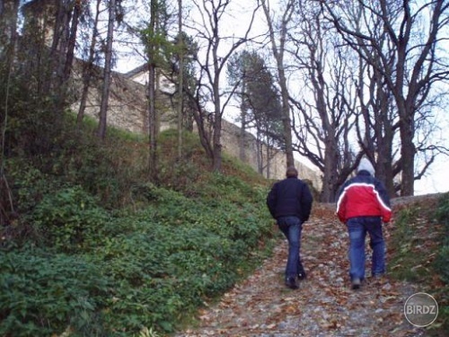 Obrázok