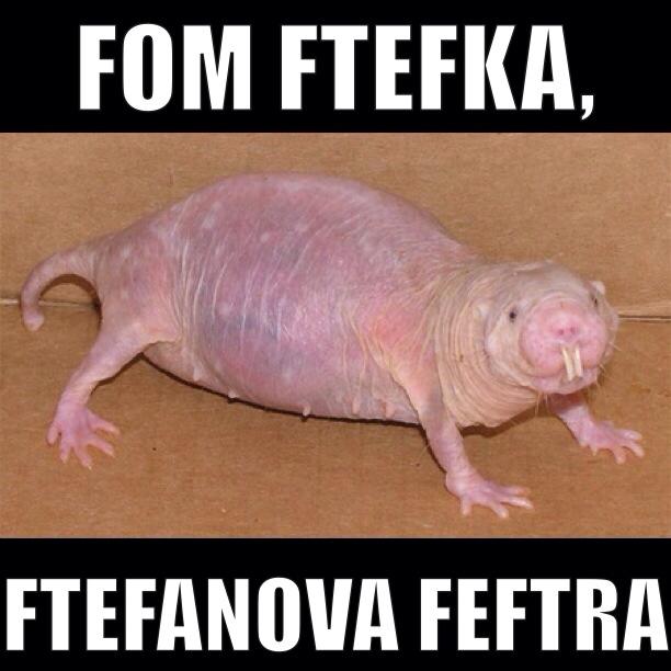 Obrázok