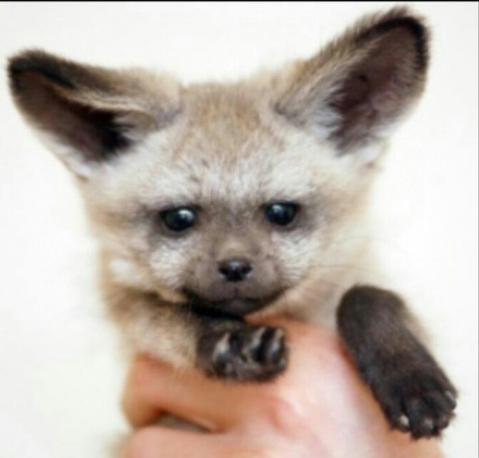 :3