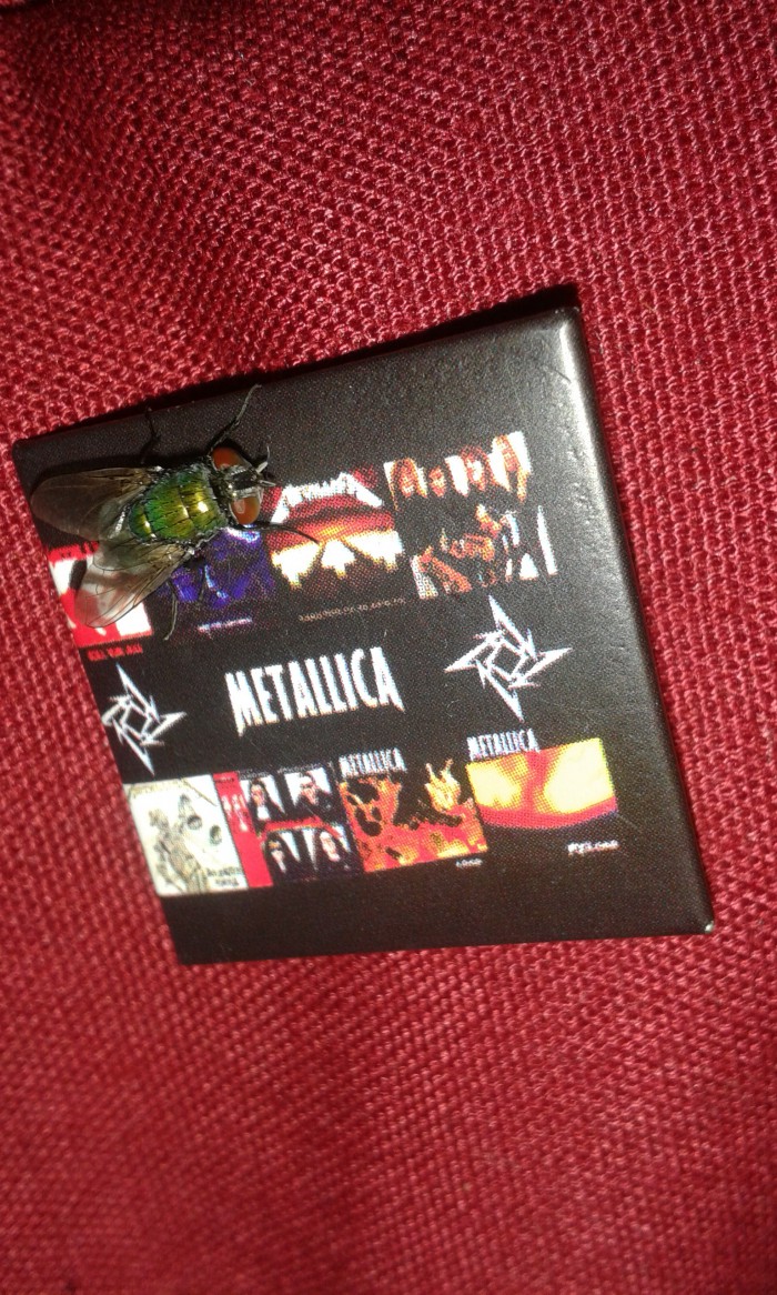 Mucha Metalistka 