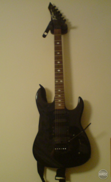 Bc rich