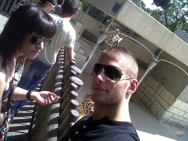 zoo 