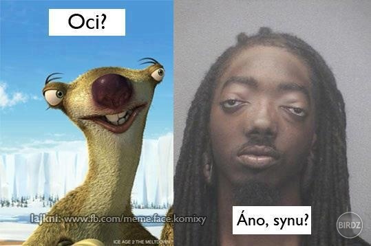Obrázok