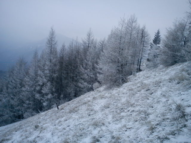 Obrázok