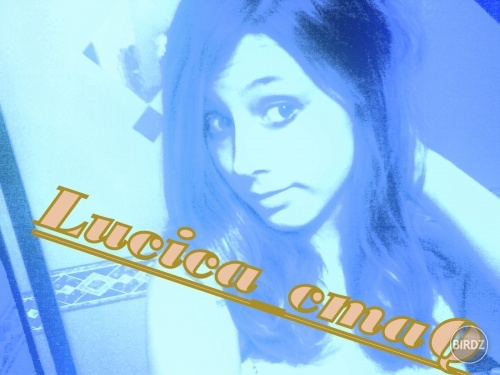 Lucica_cmaq