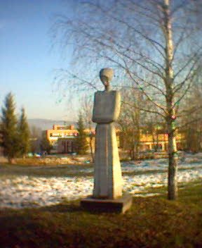 Hajuzna Socha
