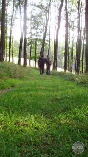 Obrázok