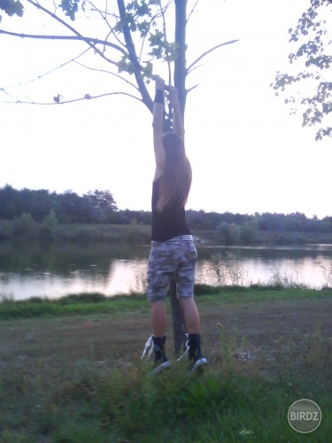 zase na strome :D