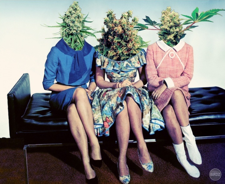 Slečny: Weed, Smoke a Bong.