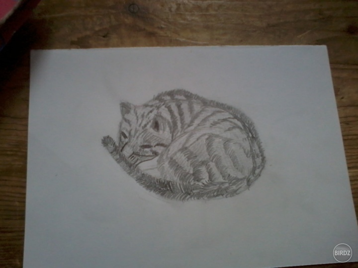 cicaaa :D 