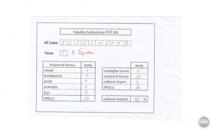 Môj 100%-tný maturitný sloh zo slovenčiny na tému Blogeri sú obrazom spoločnosti :)