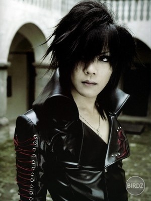 Kai (the GazettE)