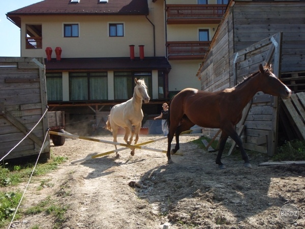 Obrázok