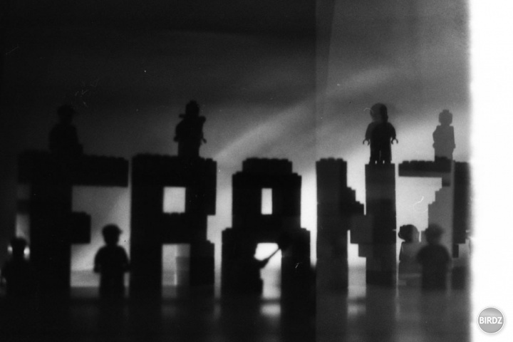(FRANZ) - ručne nastrihaný, natiahnutý, poskladaný, vyfotený, vyvolaný a scanovaný...