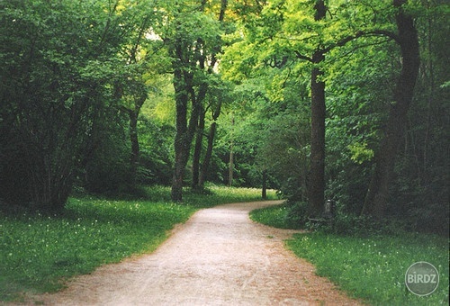 Obrázok
