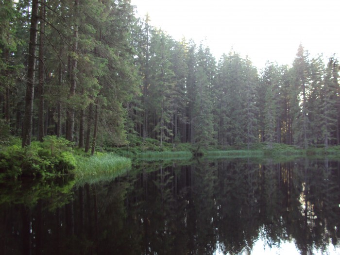 Obrázok