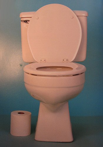 Významný pokrok - história WC siaha do Rímskej ríše