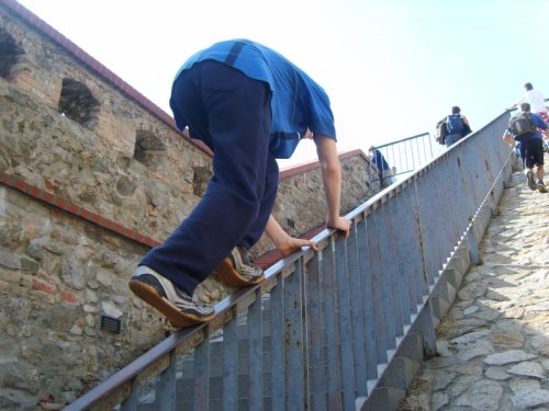 Le parkour, cat balance