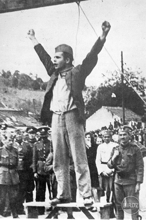 Obrázok