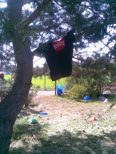 Pomsta? Nie. Mrzi ma to. 