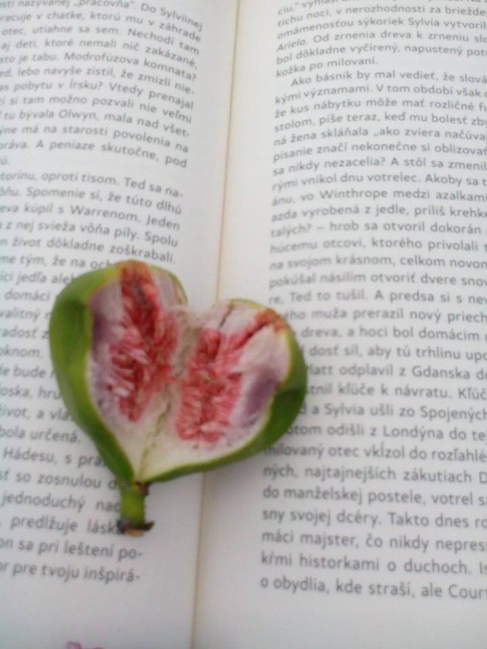 smokva a literatúra, čo viac? lááásku.