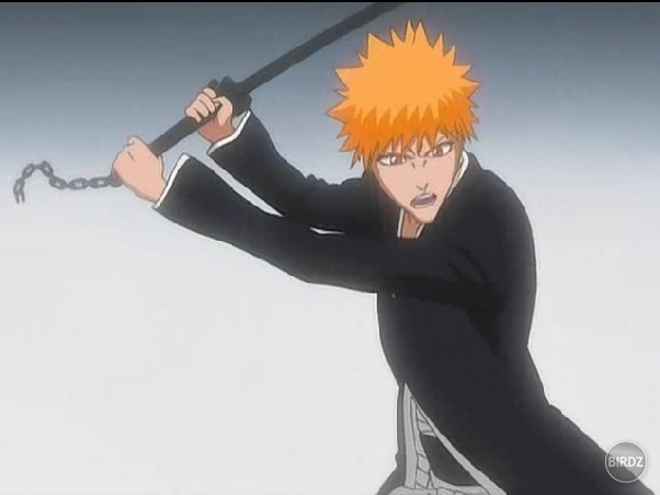 bleach-bleach-anime-8281798-602-452