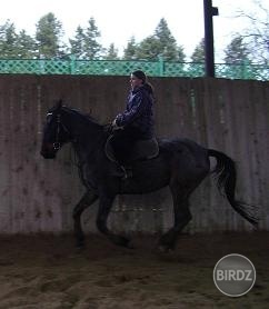 Obrázok