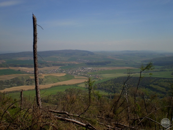Cesta cez pováľané stromy