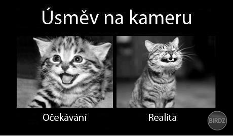 :DD