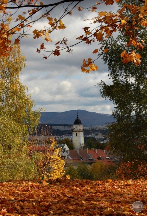Obrázok