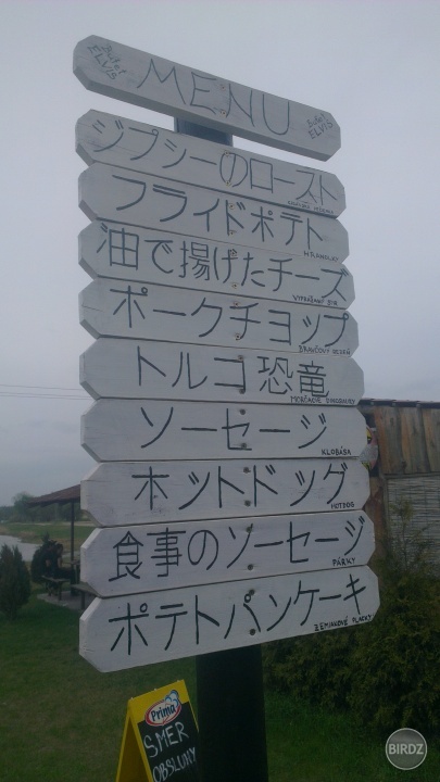 menu dna