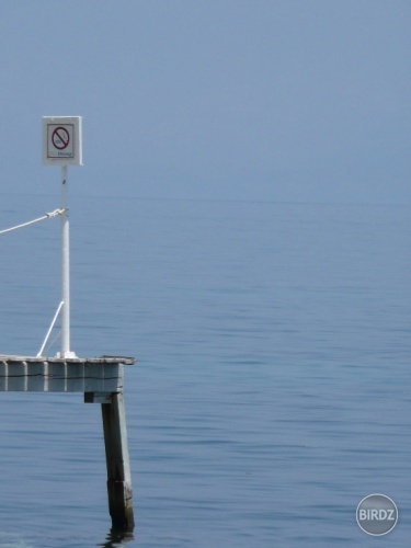 no diving!!