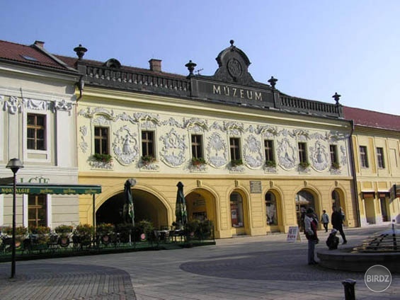 Múzeum Spiša