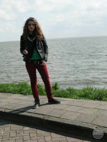 holland 