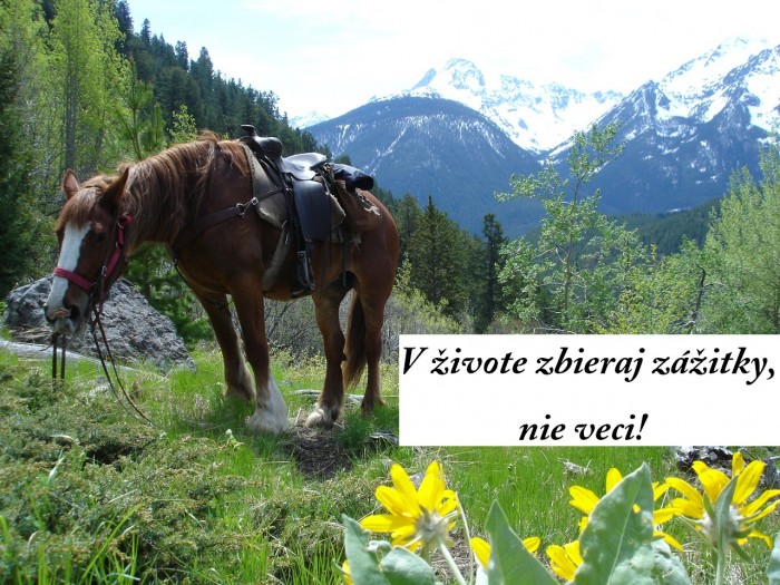 Obrázok