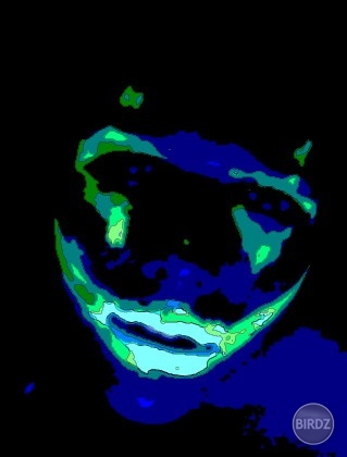 Joker.