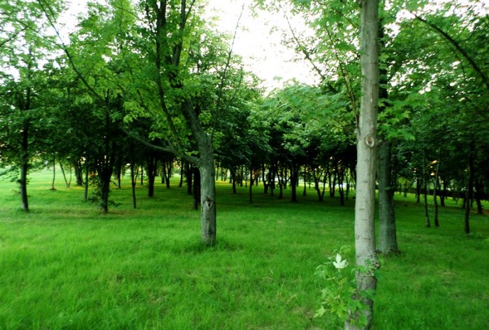 Obrázok