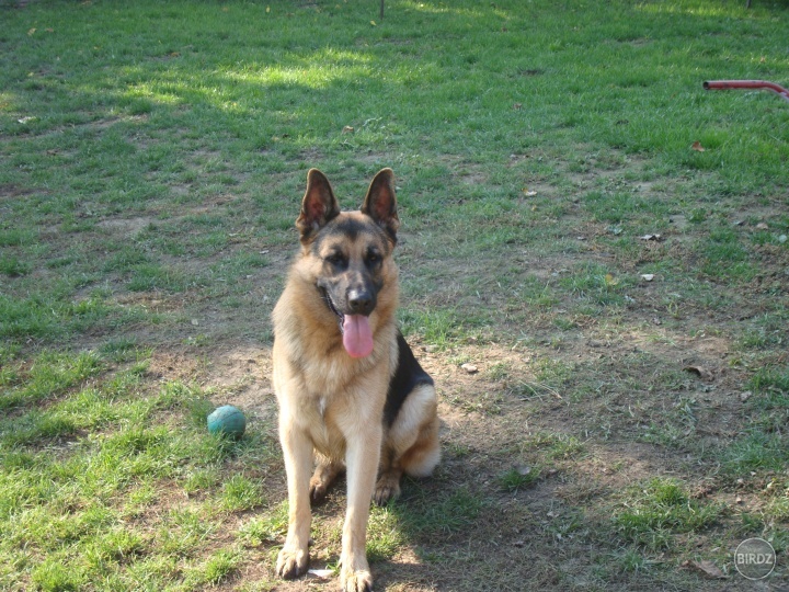 Obrázok
